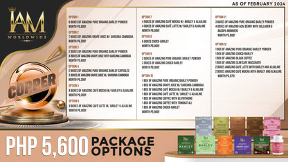 IAM Worldwide Copper Package
